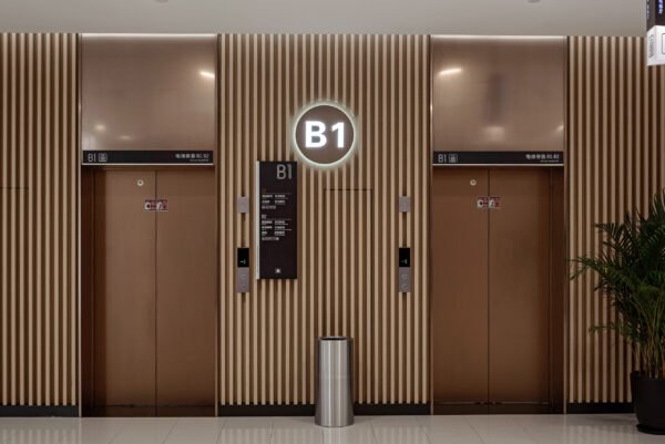 Compact Home Elevator for Villas - 图片 3