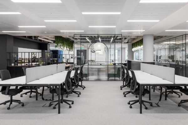 Professional and High - Performance Commercial Lighting - 图片 2
